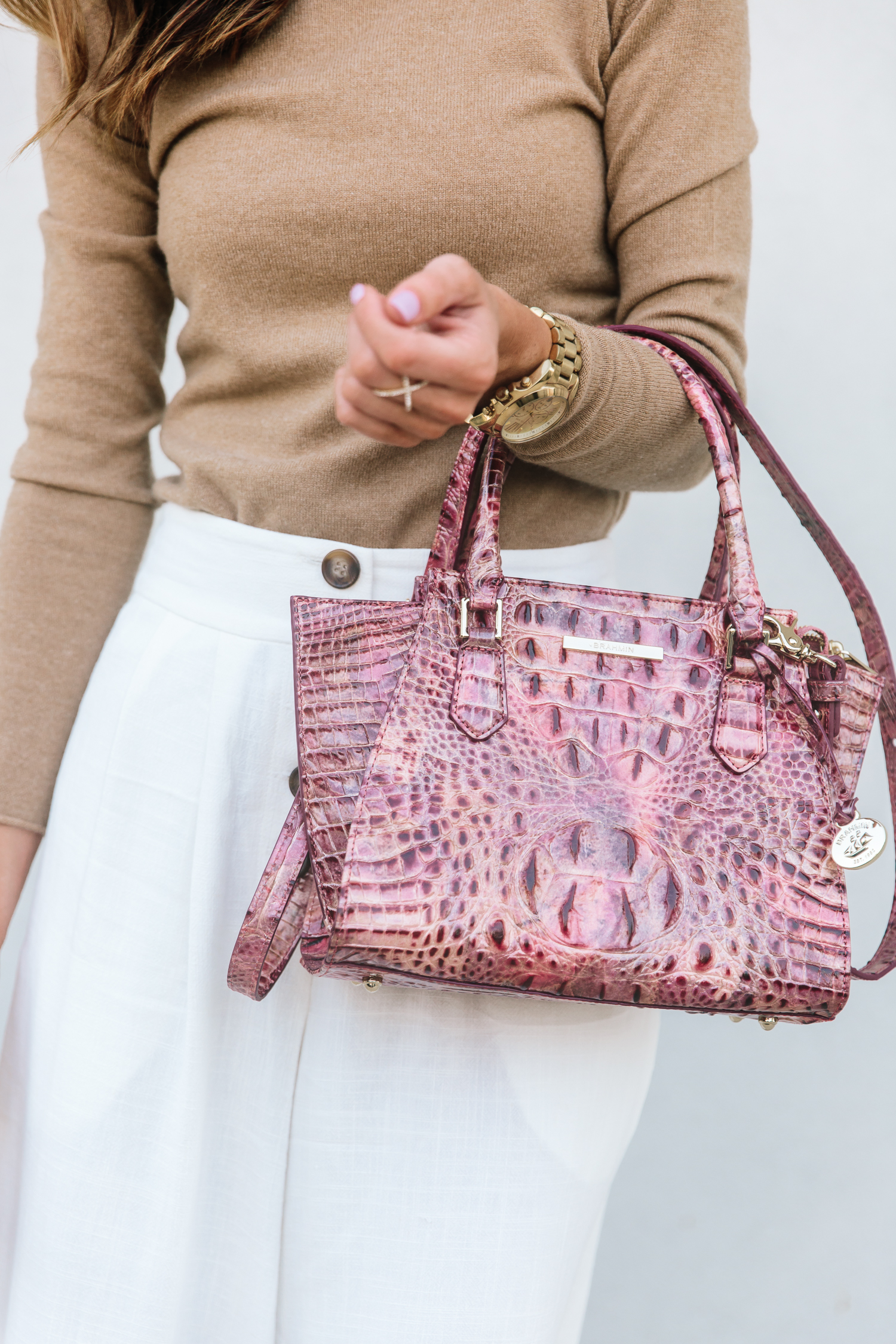 New Versatile Handbag For Fall With Brahmin