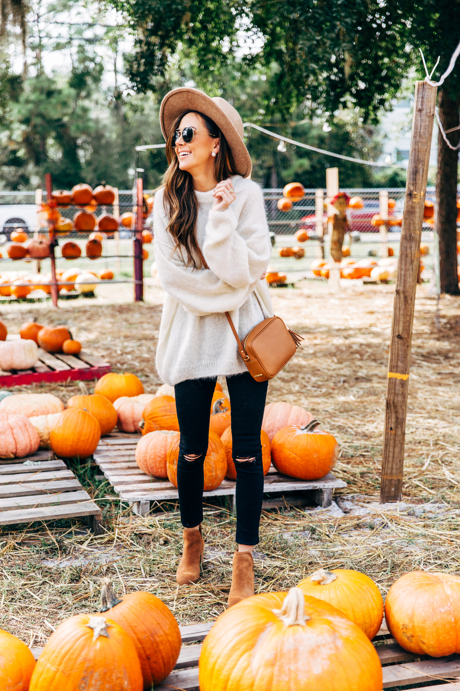 things to do during the fall, pumpkin patch