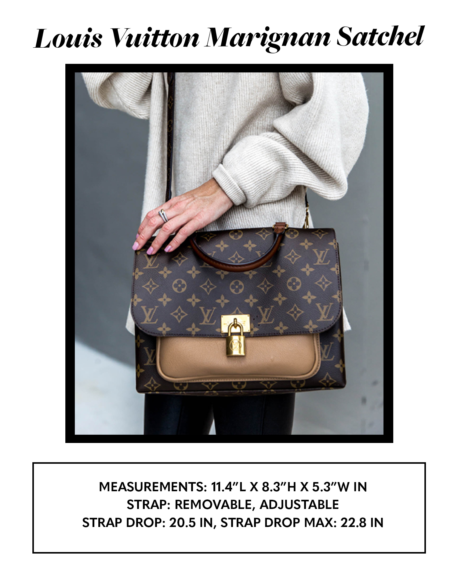 Louis Vuitton Monogram Designer Handbag